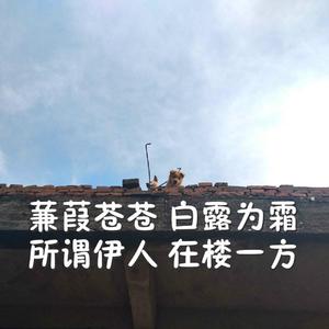 国内外免费性爱视频
